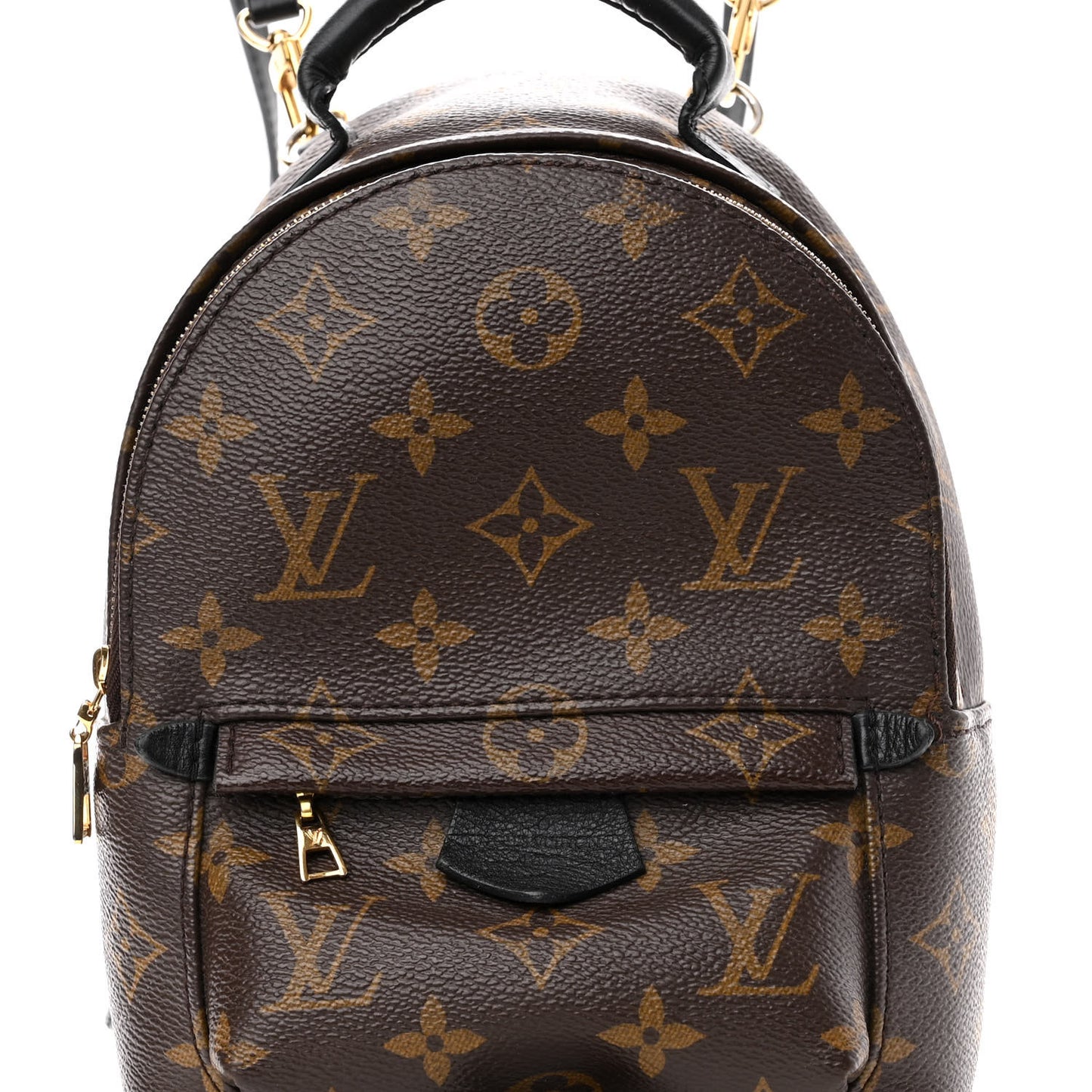 Monogram Palm Springs Backpack Mini