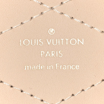 Louis Vuitton Monogram Camera Box 6 of 9