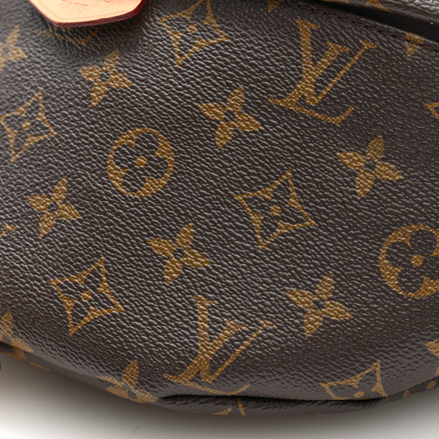 Louis Vuitton Monogram Bumbag 9 of 9
