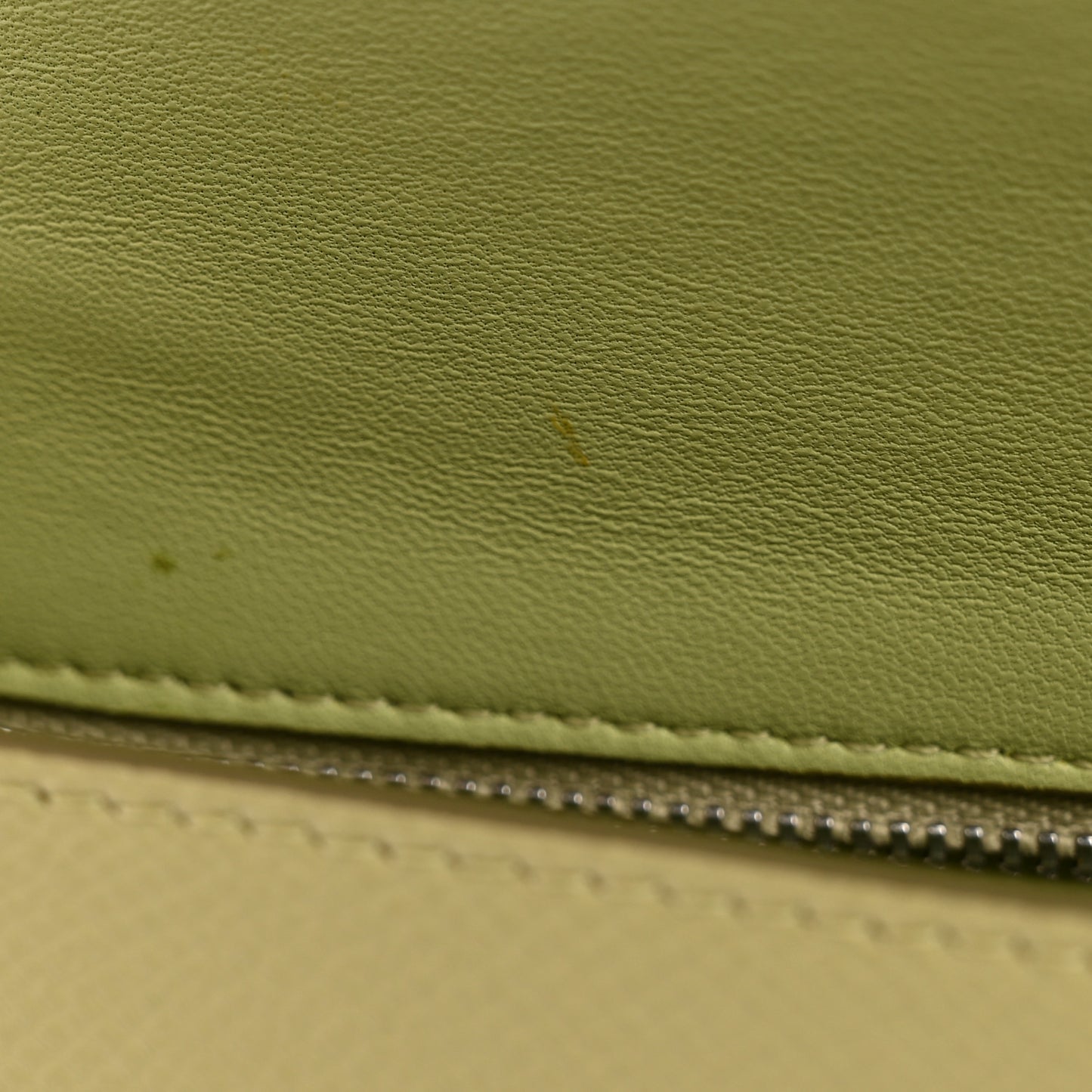 Baby Grained Calfskin Small Trotteur  Jade