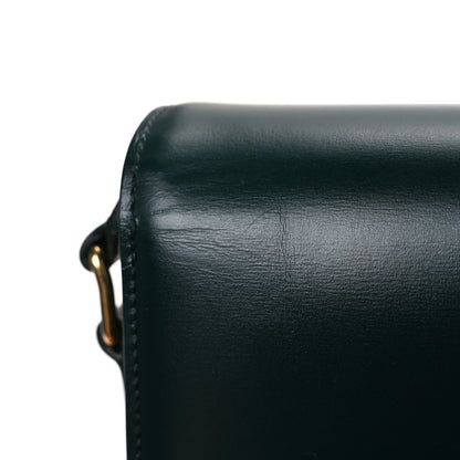 Celine Shiny Calfskin Medium Triomphe Amazone 12 of 12