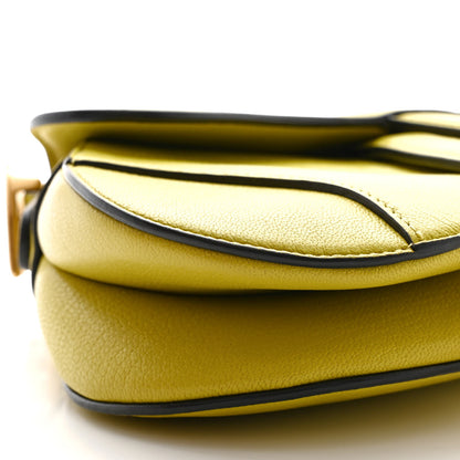 Christian Dior Goatskin Mini Saddle Bag Lime 9 of 10
