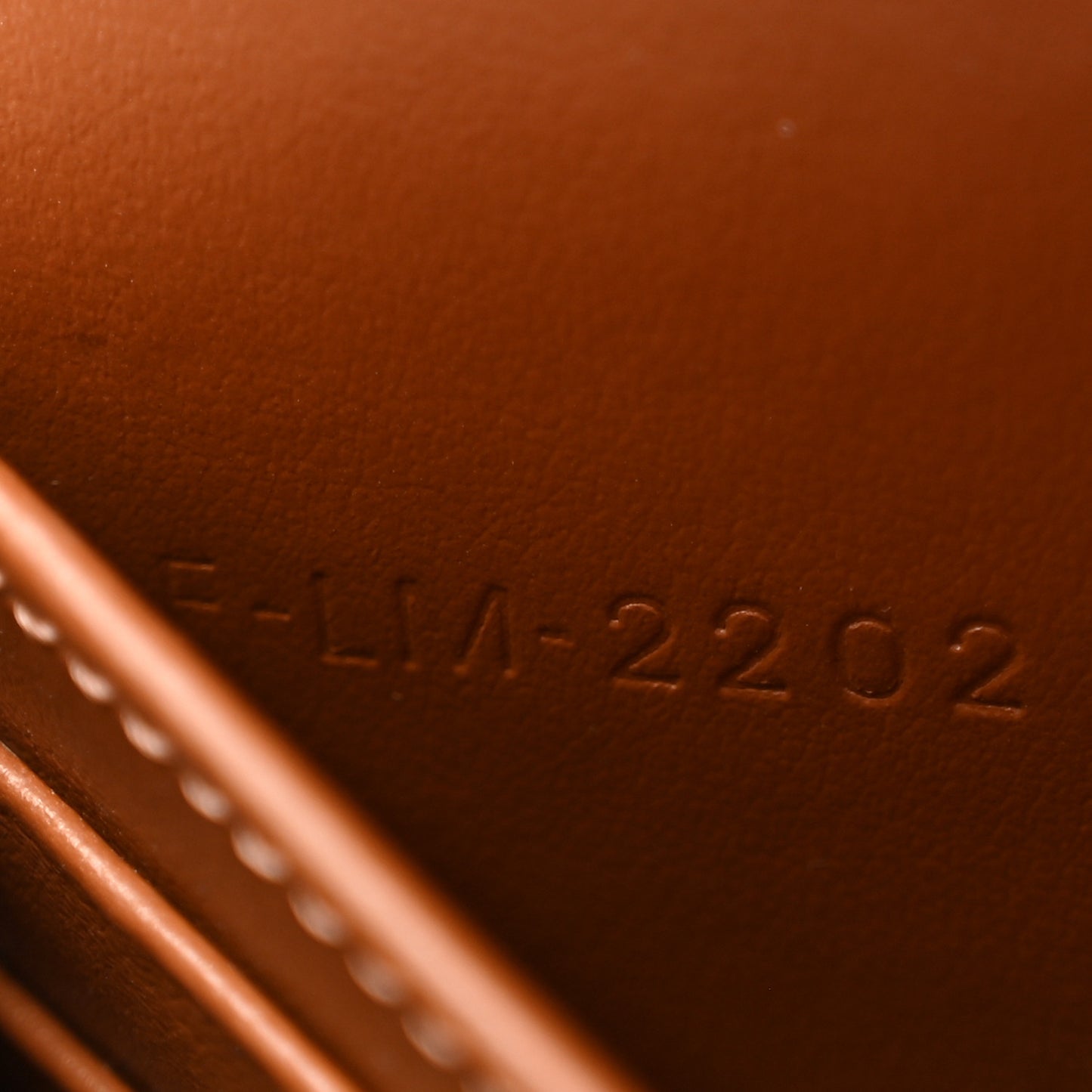 Triomphe Canvas Lambskin Wallet On Strap Tan