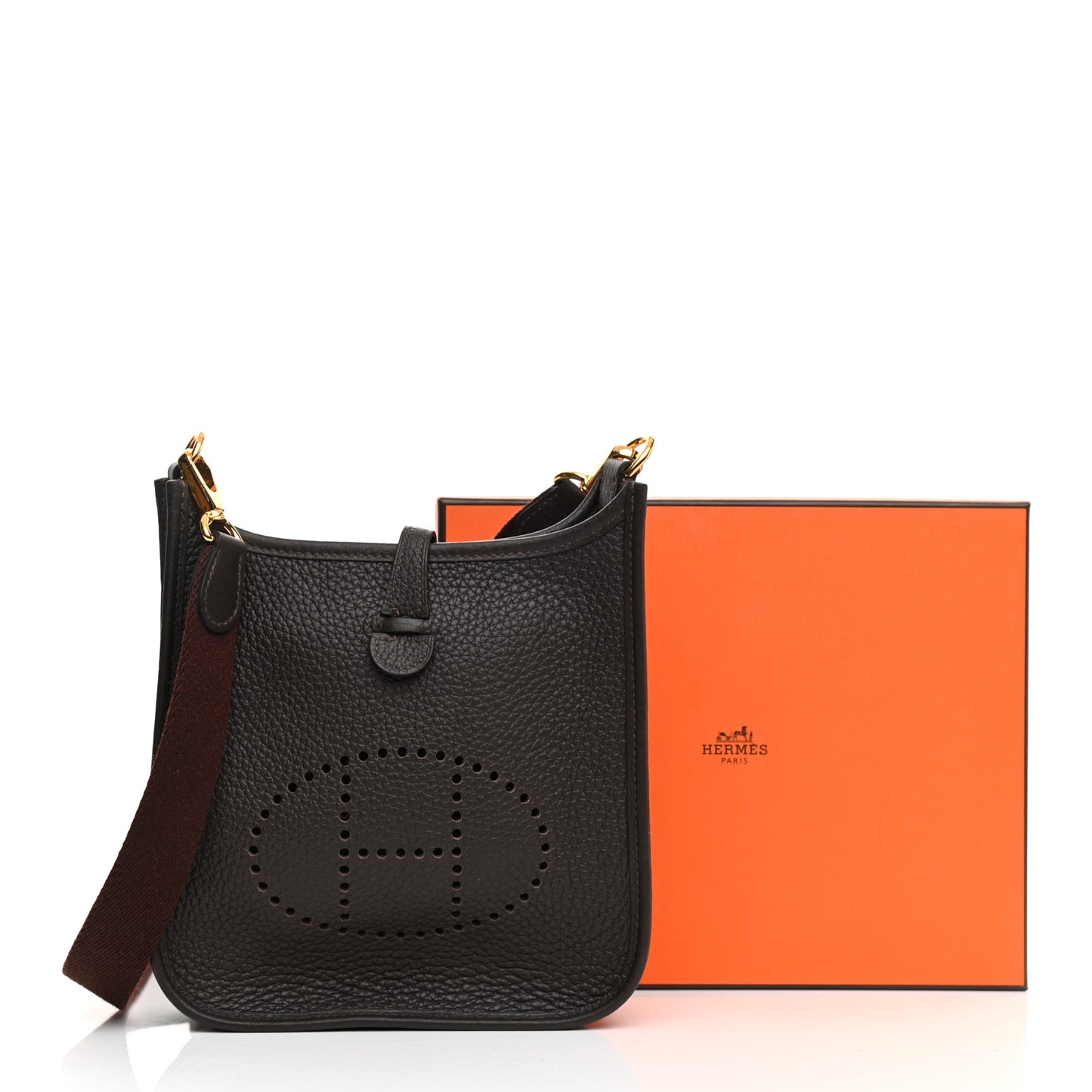 Taurillon Clemence Evelyne TPM Chocolate