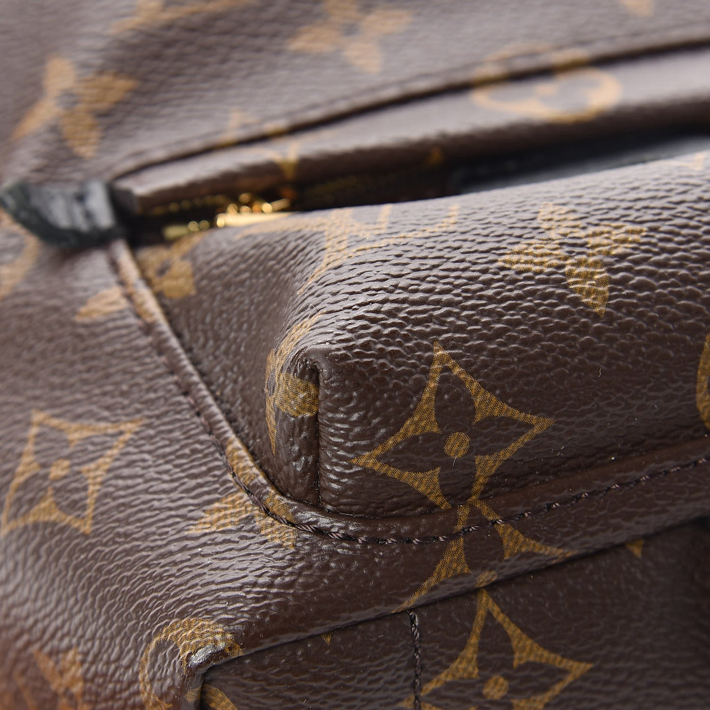 Monogram Palm Springs Backpack Mini