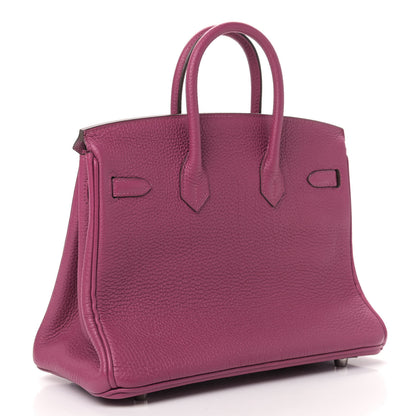 Hermes Togo Birkin 25 Tosca 3 of 9