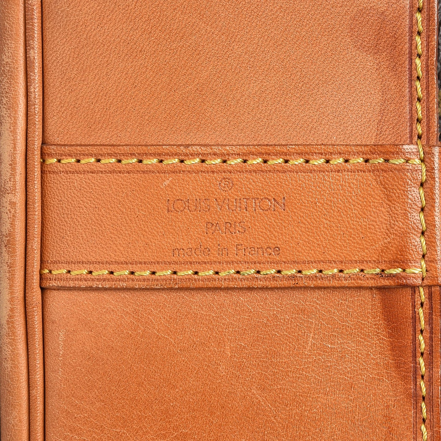 Monogram Randonnee GM Backpack