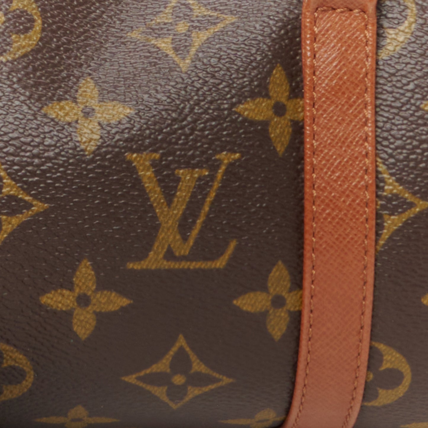 Monogram Papillon 30 with Companion