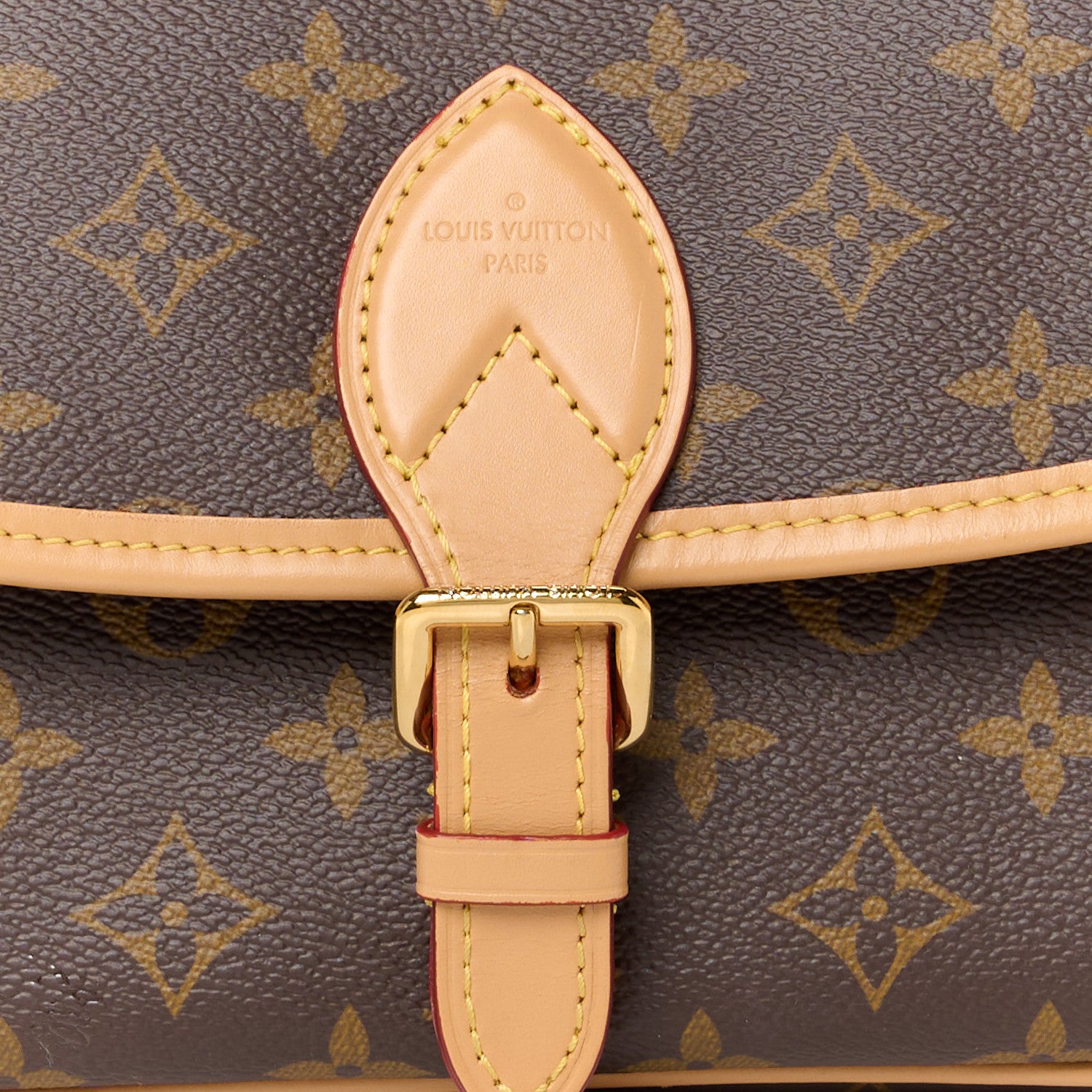 Louis Vuitton Monogram Diane 9 of 16