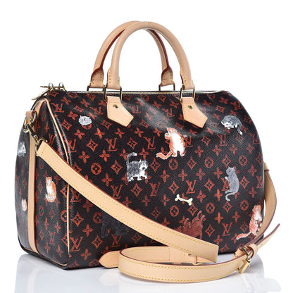 Louis Vuitton Catogram Speedy Bandouliere 30 Marron 3 of 8