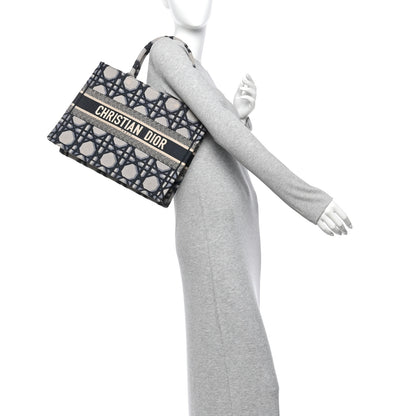 Christian Dior Canvas Macrocannage Embroidered Medium Book Tote Beige Blue 2 of 11