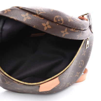 Louis Vuitton Monogram Bumbag 4 of 10