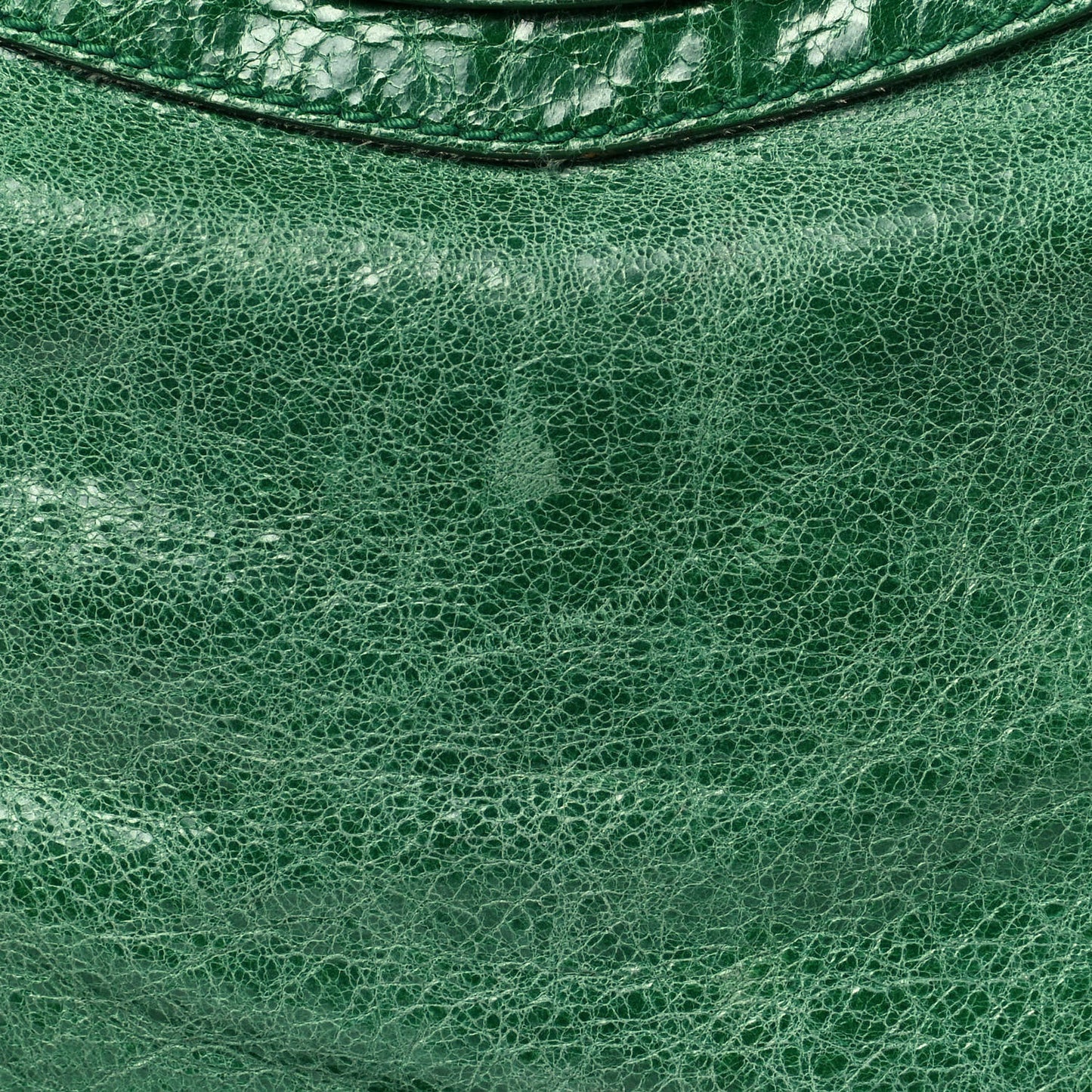Chevre Giant 21 Gold Hardware Day Hobo Vert Gazon