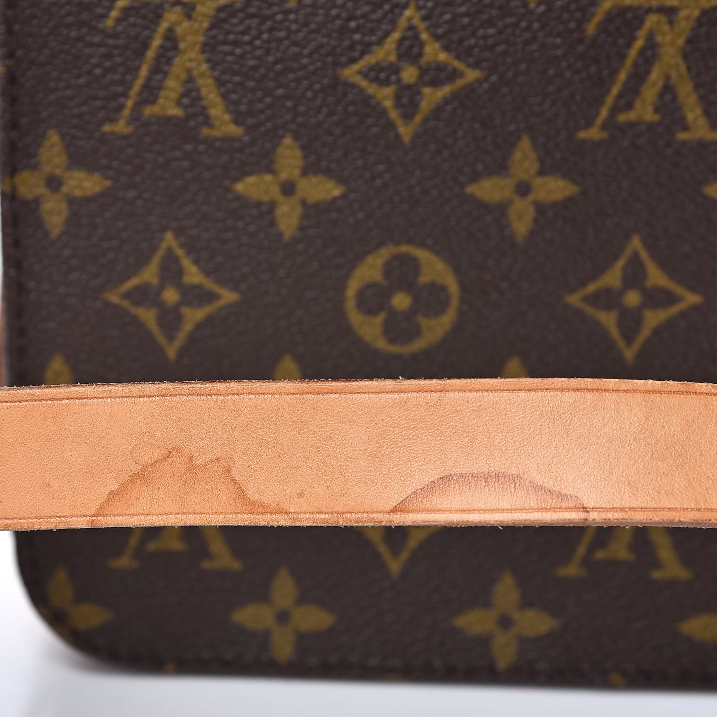 Monogram Cartouchiere 22