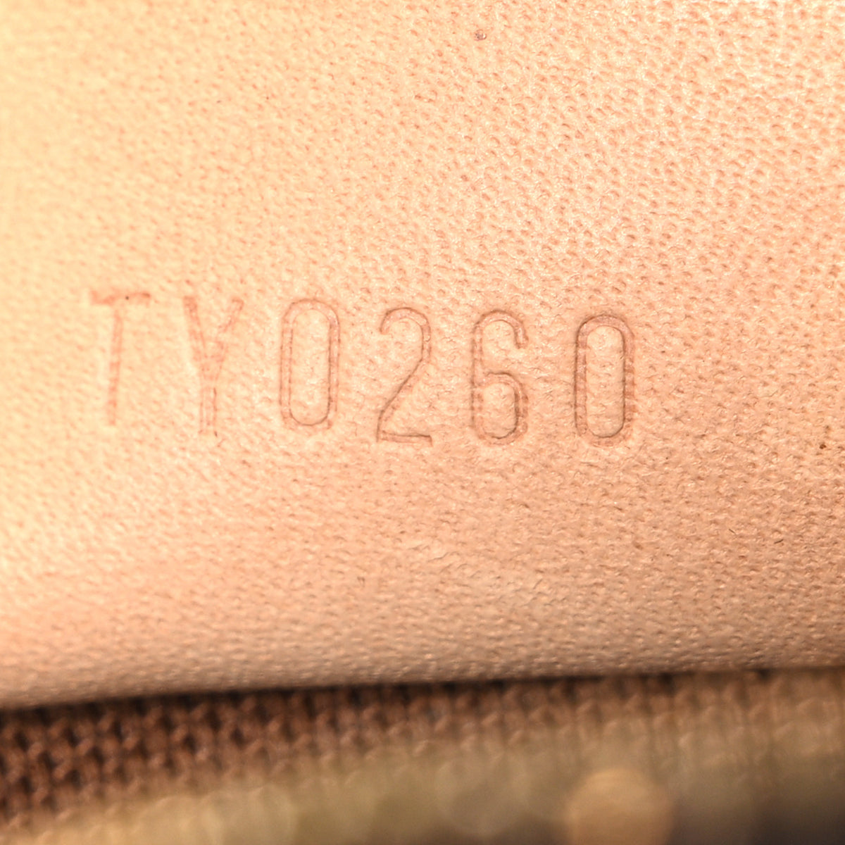 Monogram Nano Speedy