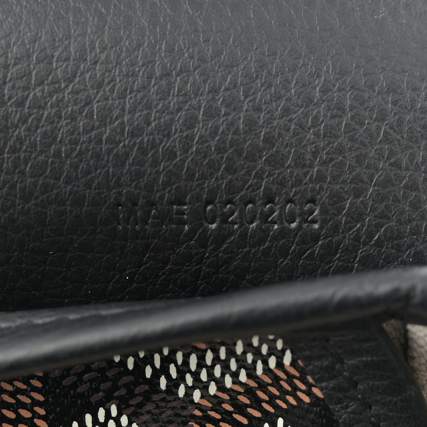 Goyard Goyardine Calfskin Mini Alpin Backpack Black 7 of 10