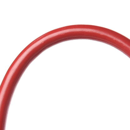 Louis Vuitton Epi Passy PM Castillan Red 25 of 27