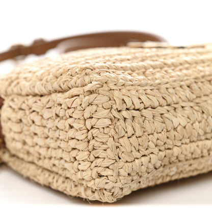 Saint Laurent Raffia Calfskin Gaby Crossbody Bag Natural Brick 9 of 11