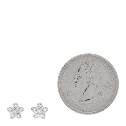 Graff 18K White Gold Diamond Petite Pave Wild Flower Earrings 2 of 5