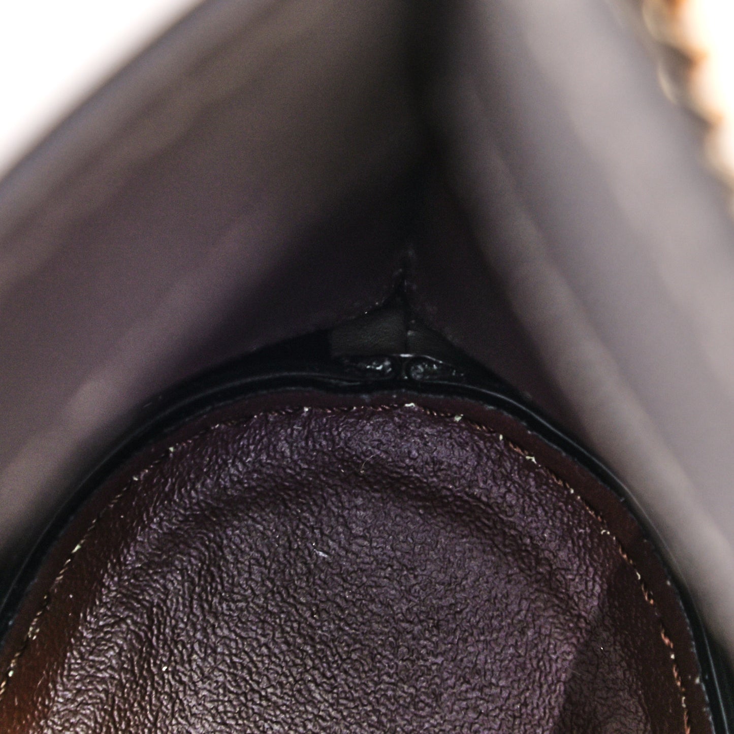 Shiny Calfskin Goatskin Mini Aby Bi-Color Bucket Light Eucalyptus