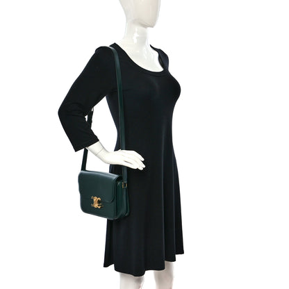 Celine Shiny Calfskin Medium Triomphe Amazone 2 of 12