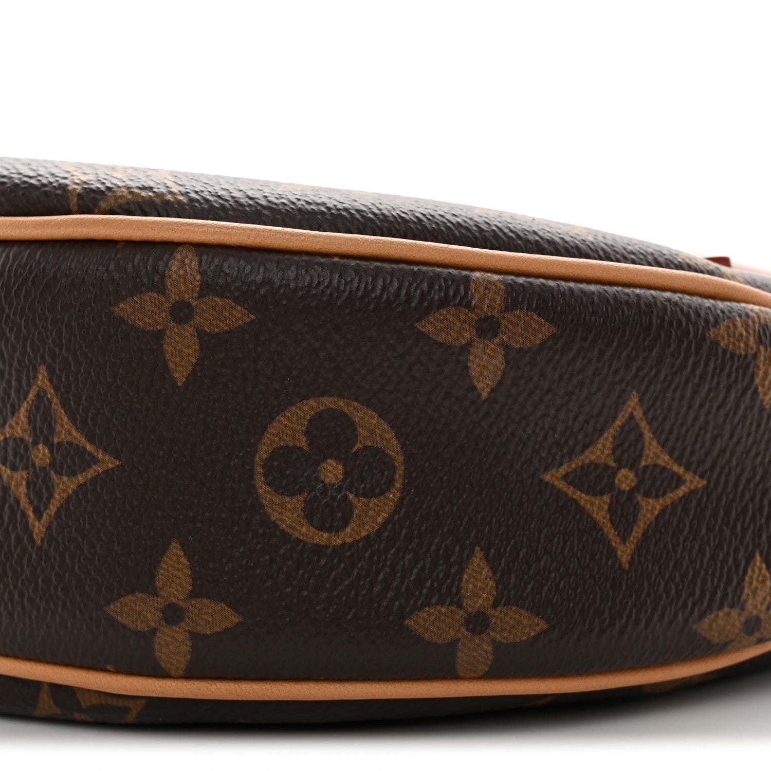 Louis Vuitton Monogram Loop 9 of 9