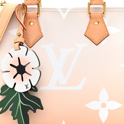 Louis Vuitton Monogram Giant By The Pool Speedy Bandouliere 25 Brume 7 of 9
