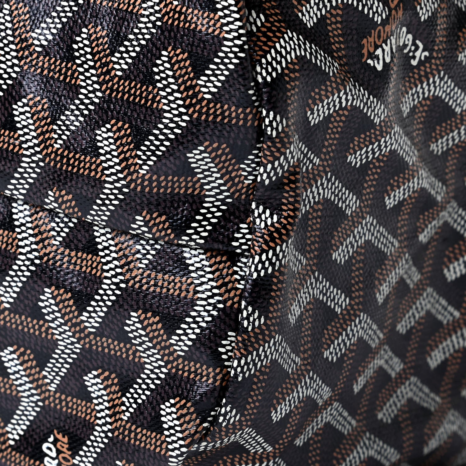 Goyard Goyardine Saint Louis PM Black 7 of 7