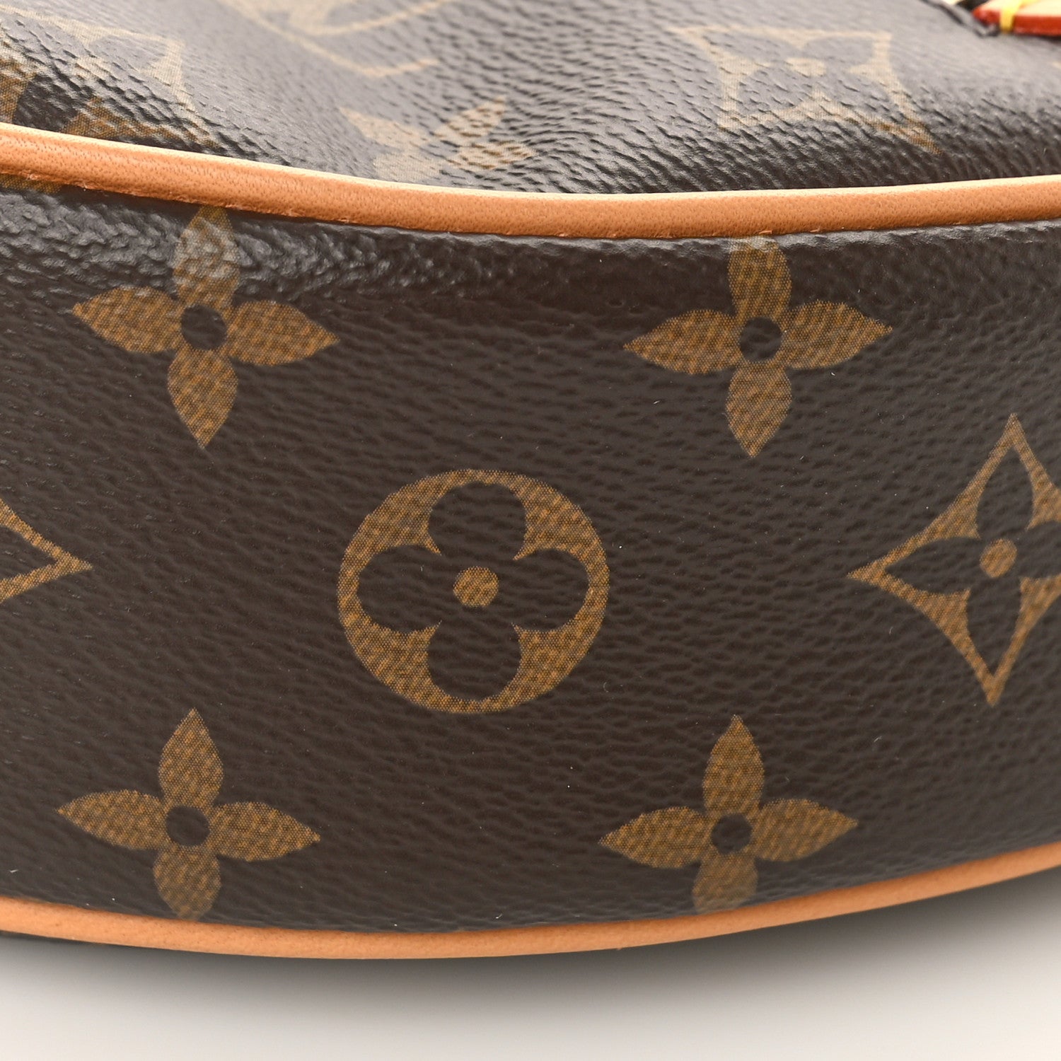 Louis Vuitton Monogram Loop 8 of 8