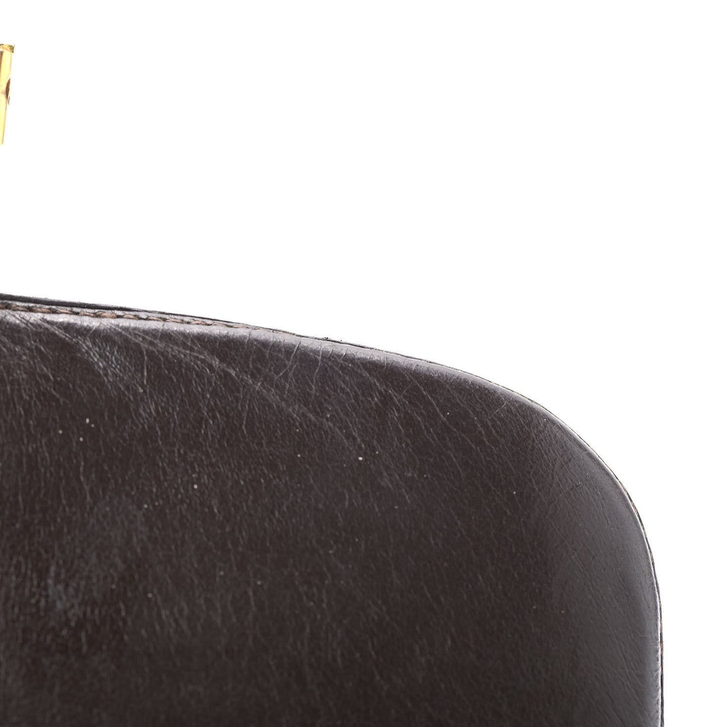 Shiny Porosus Crocodile Constance 23 Chocolate