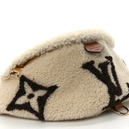 Louis Vuitton Shearling Monogram LV Ski Bumbag Cream Brown 7 of 9