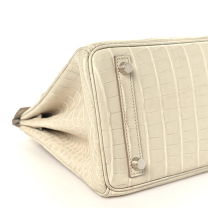 Hermes Matte Alligator Birkin 25 Beton 8 of 10