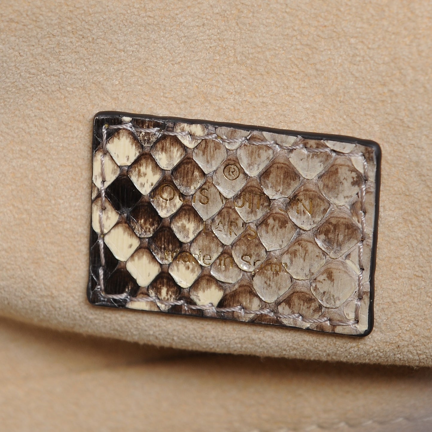 Snakeskin Monogram Artsy MM