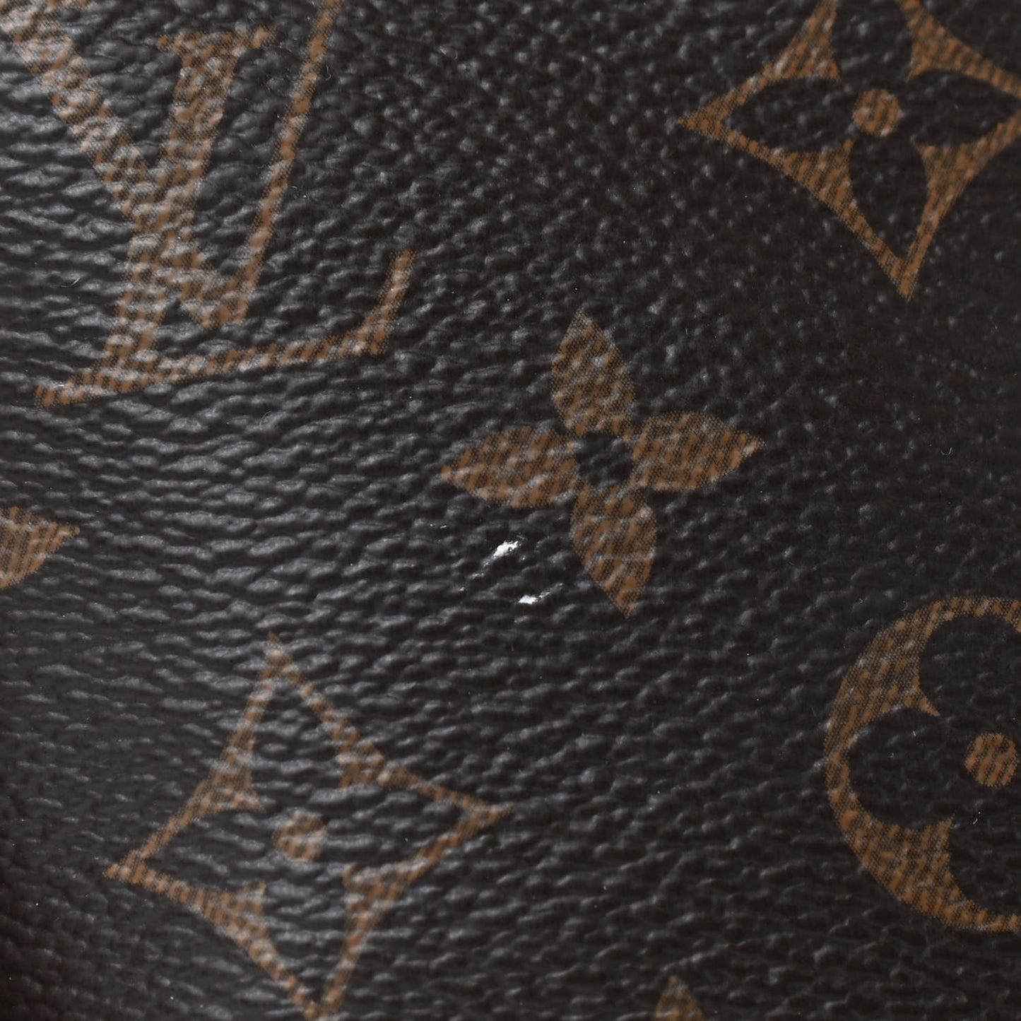 Monogram Pallas BB Safran