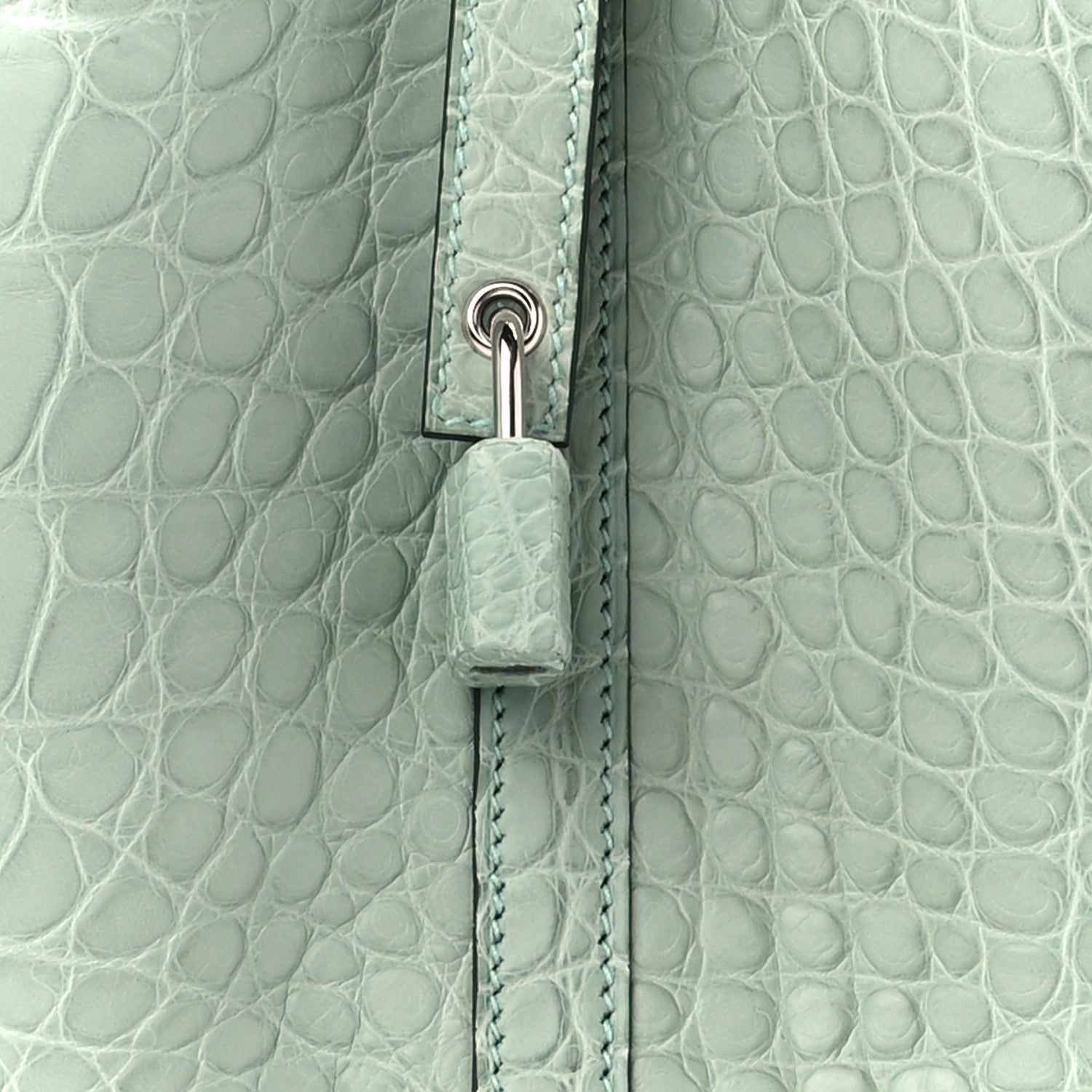 Hermes Matte Alligator Picotin Lock 18 8 of 11