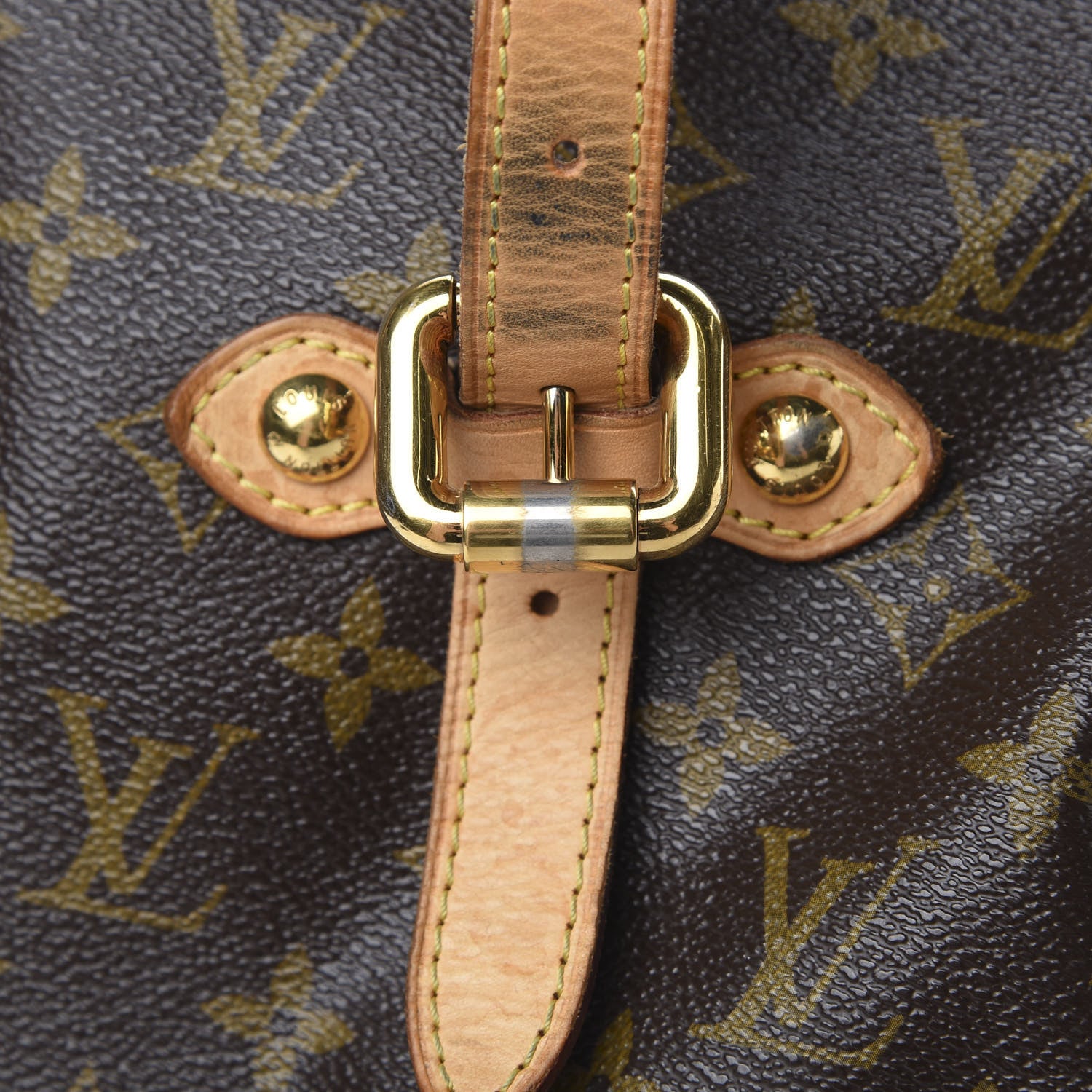 Louis Vuitton Monogram Palermo GM 21 of 31