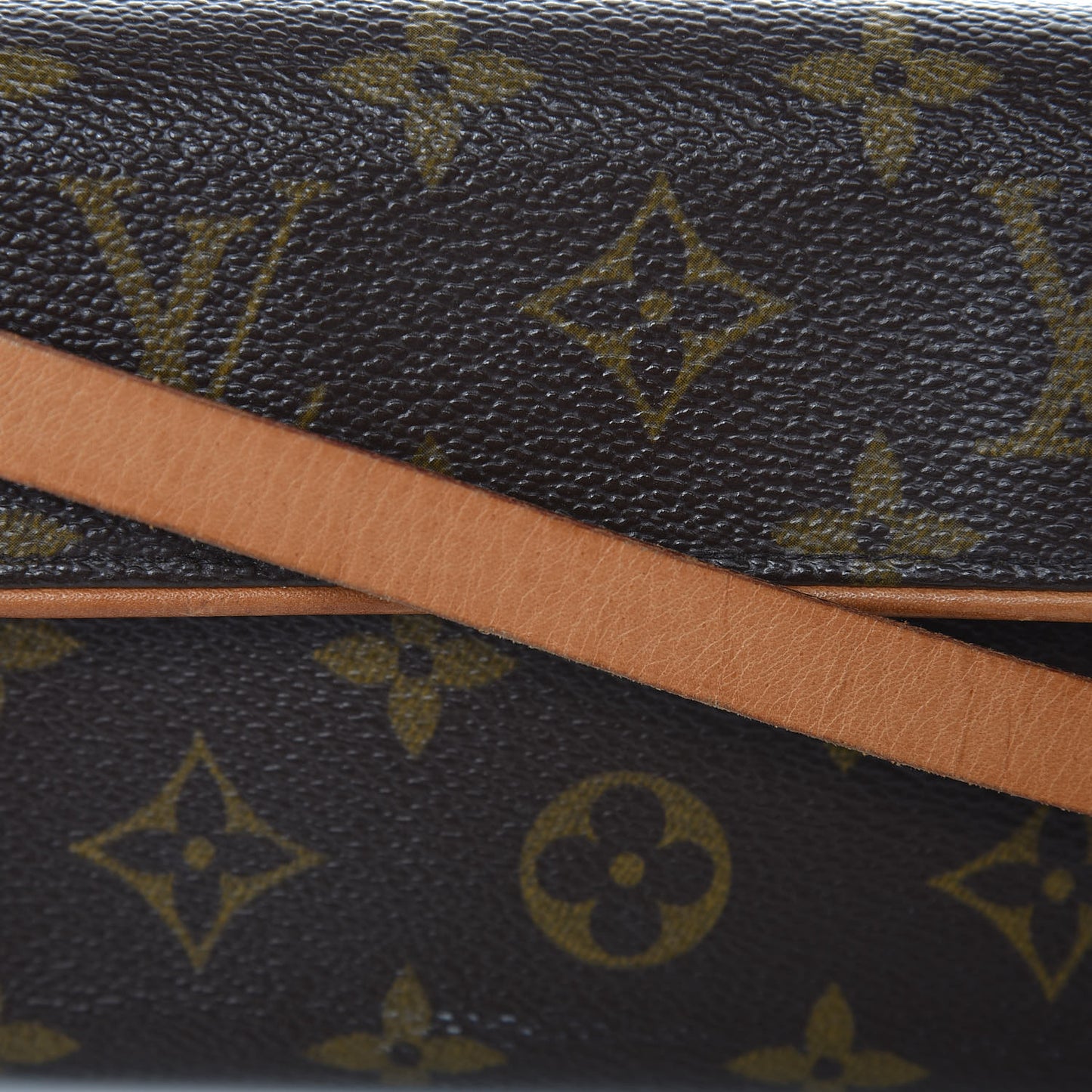Monogram Pochette Florentine XS