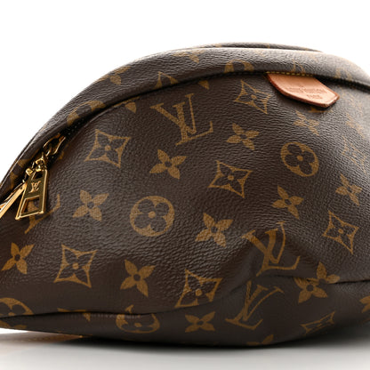 Louis Vuitton Monogram Bumbag 8 of 14