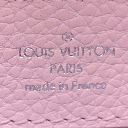Louis Vuitton Taurillon Mini Degrade Rainbow V Capucines 7 of 9