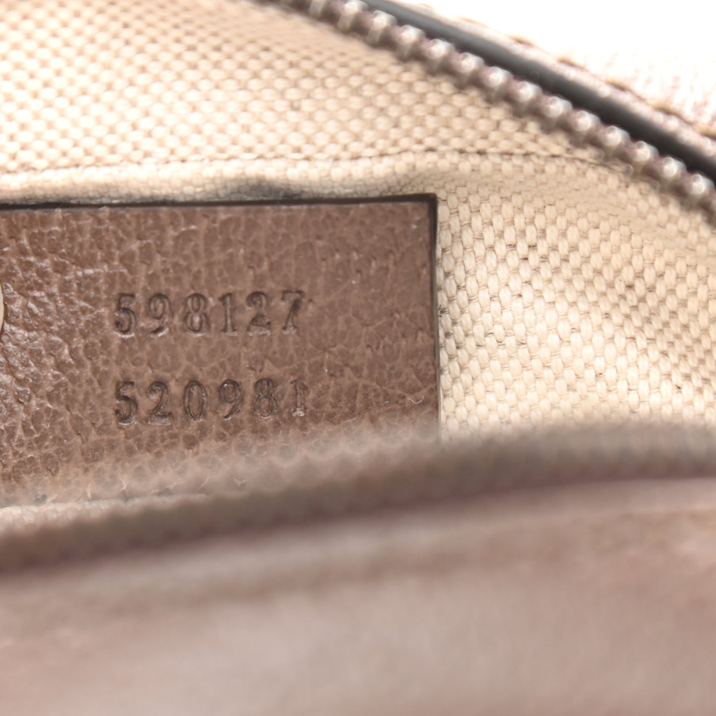 GG Supreme Monogram Web Mini Ophidia Messenger Brown