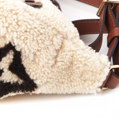 Louis Vuitton Monogram Teddy Bumbag 7 of 12