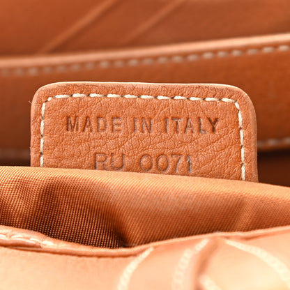 Christian Dior Calfskin Saddle Bag Tan 7 of 16