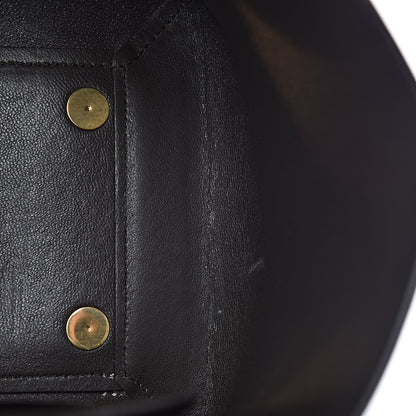 Celine Supersoft Calfskin Mini Belt Bag Wood 9 of 16