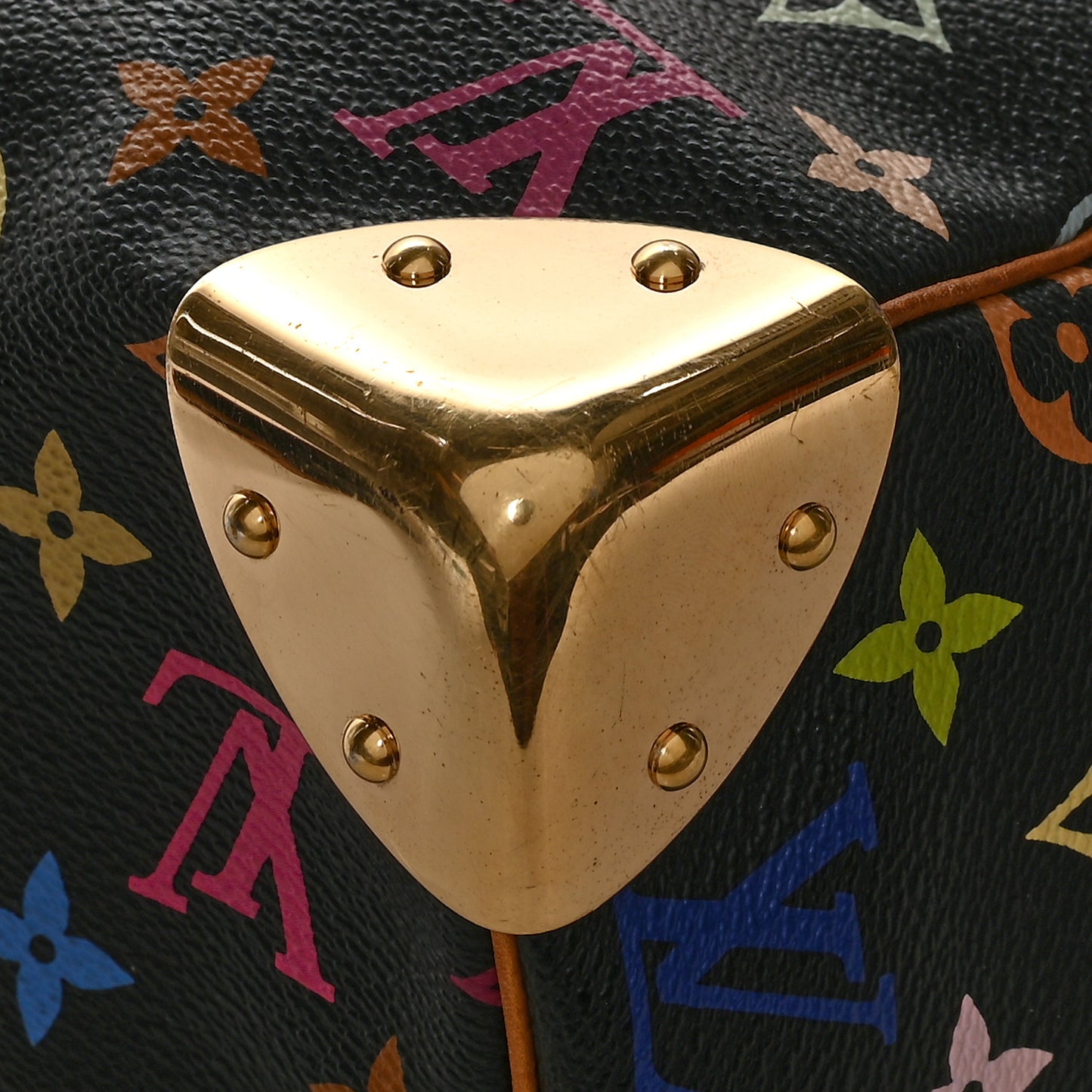 Monogram Multicolor Speedy 30 Black