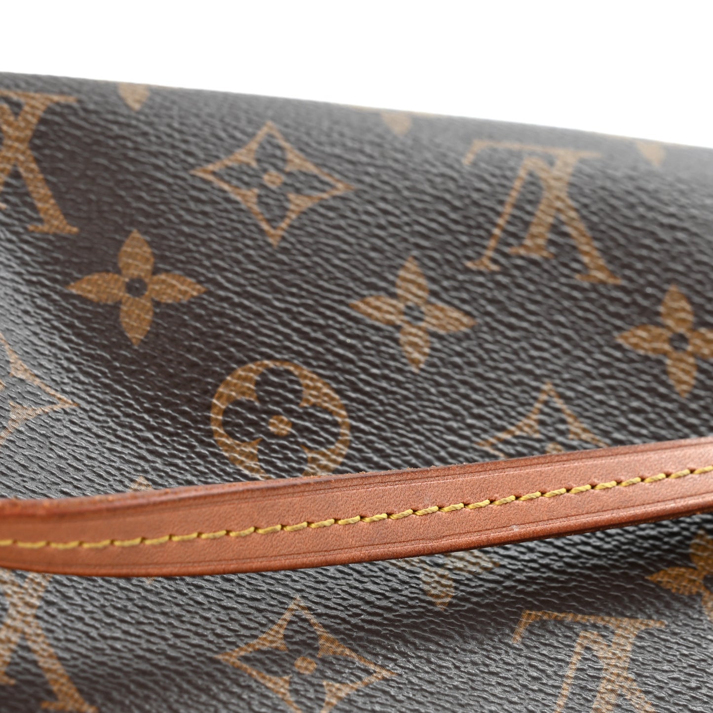 Monogram Pochette Accessories NM