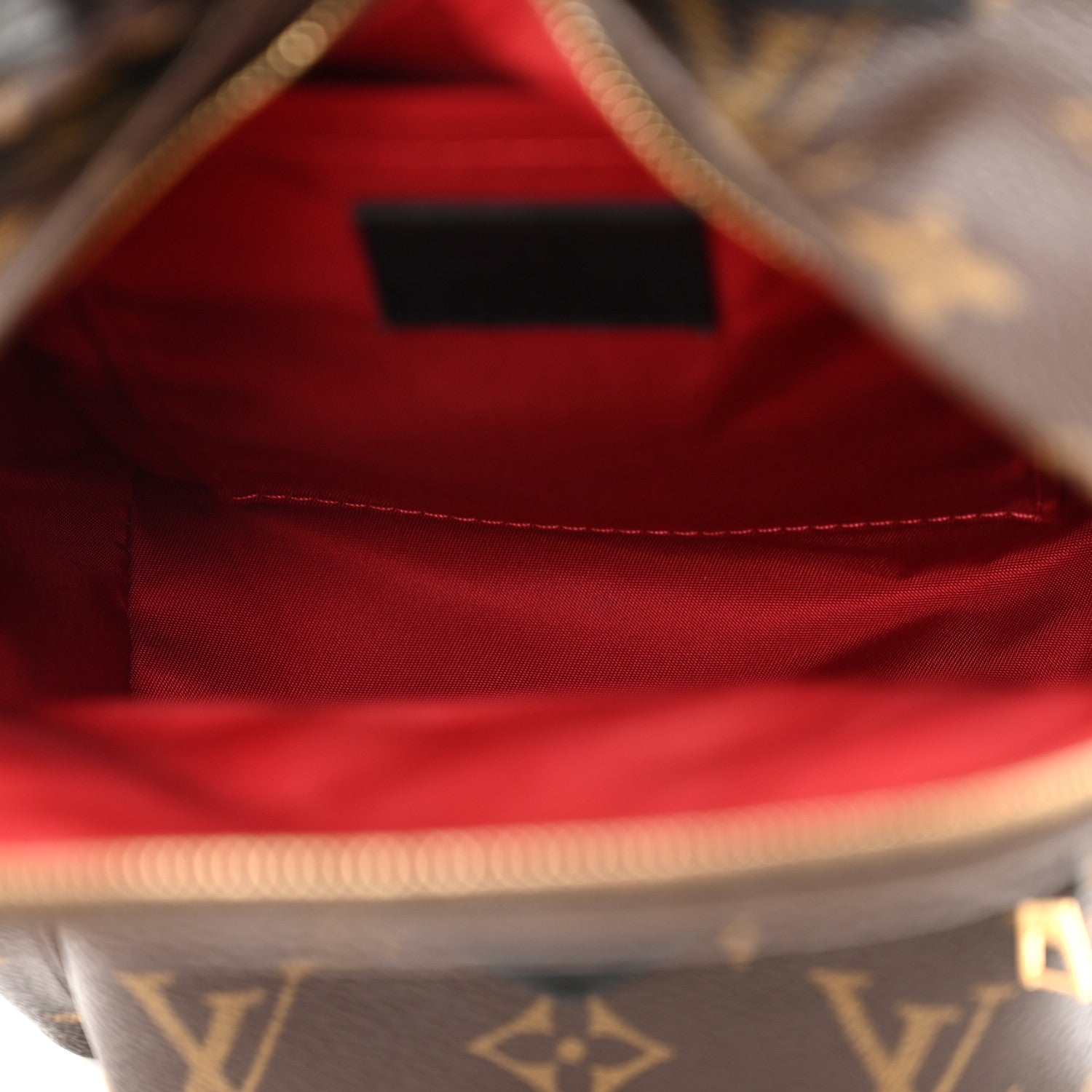 Louis Vuitton Monogram World Tour Palm Springs Backpack Mini 5 of 15