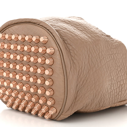 Alexander Wang Pebbled Lambskin Diego Bucket Bag Latte Rose Gold Hardware 10 of 11