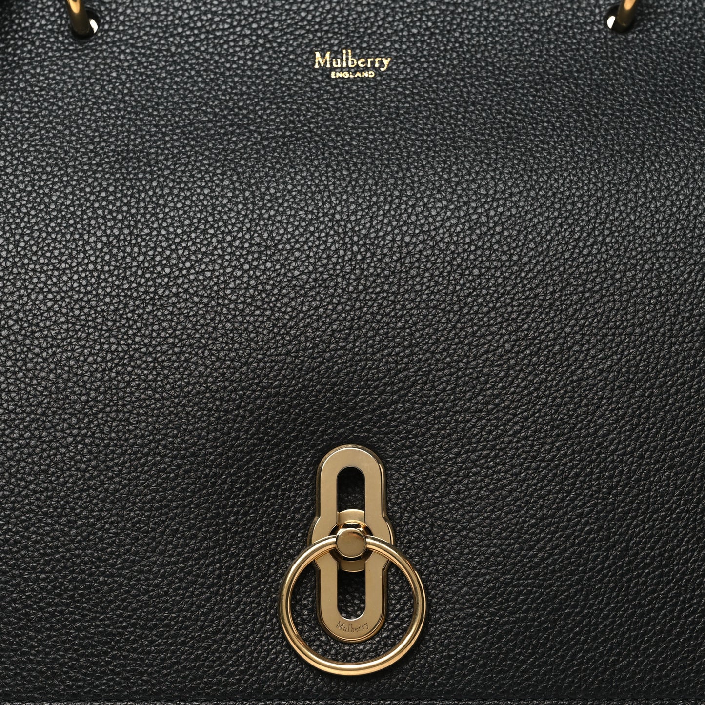 Grain Calfskin Amberley Satchel Black