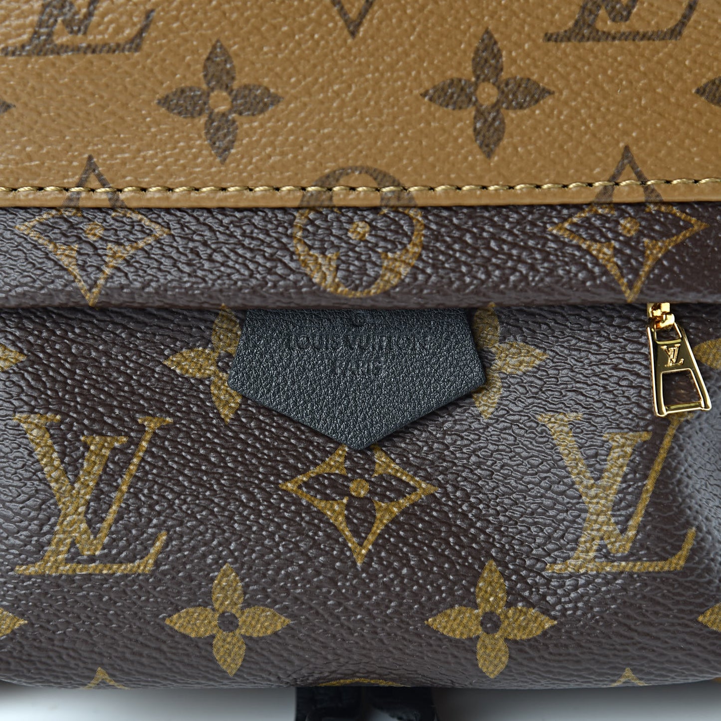 Reverse Monogram Palm Springs Backpack Mini