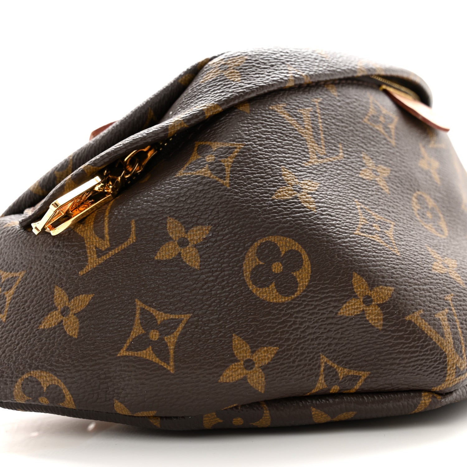 Louis Vuitton LOUIS VUITTON Monogram Bumbag 8 of 10